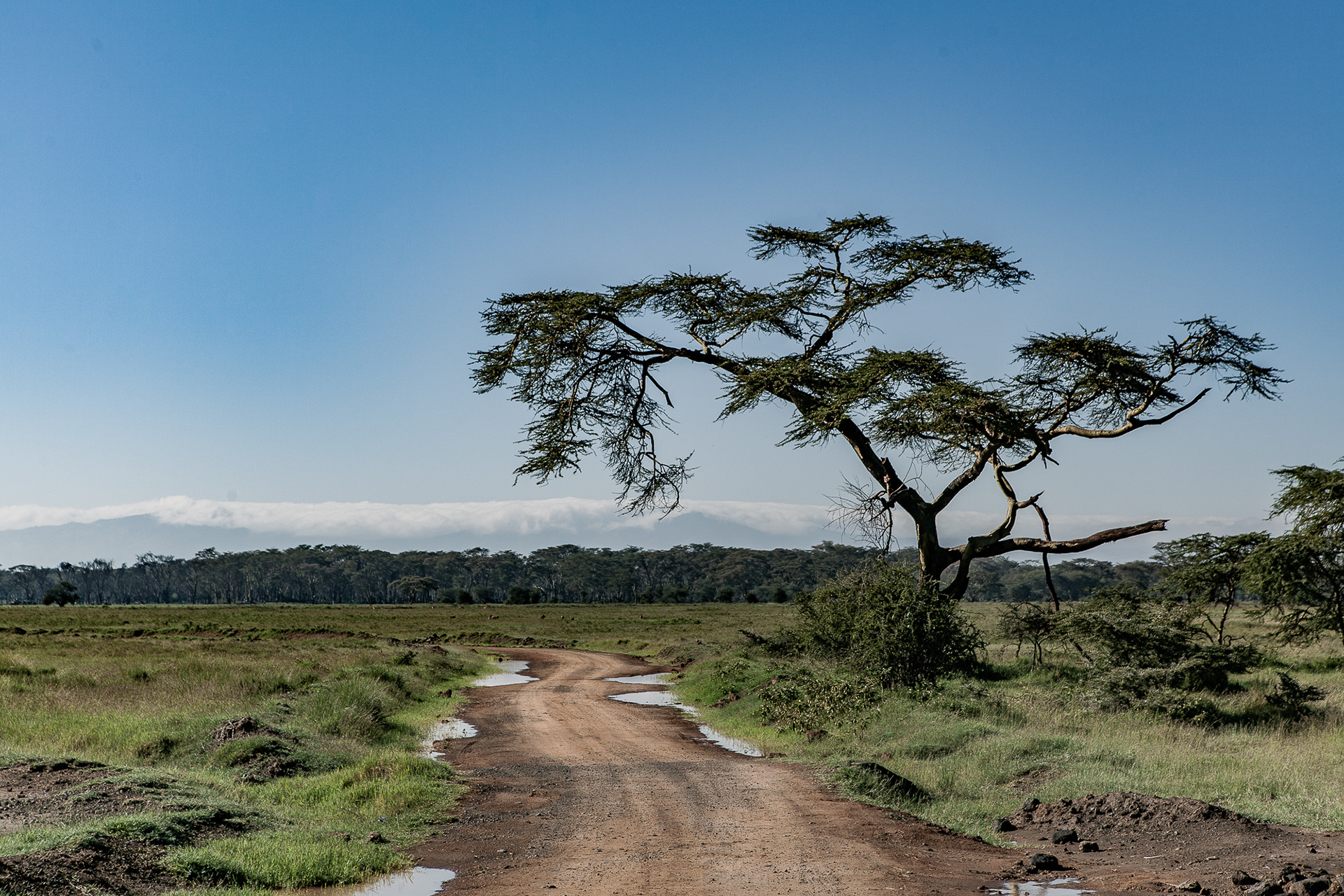 Kenya