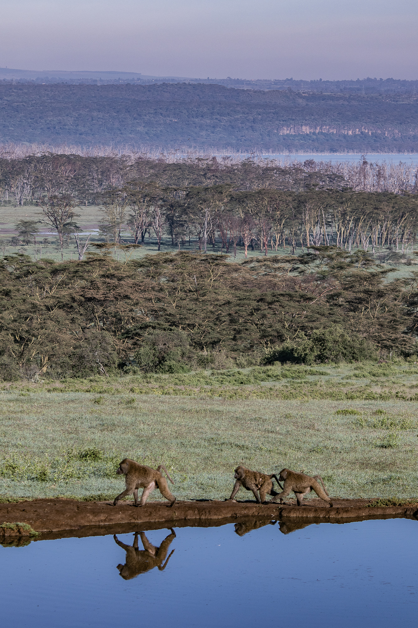 Kenya