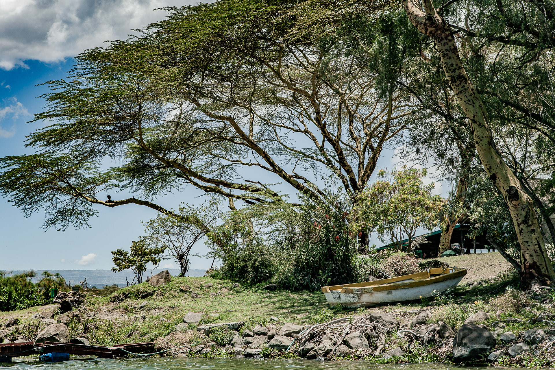 Kenya
