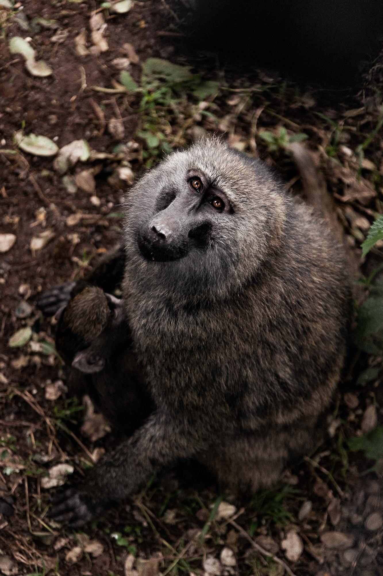 Kenya
