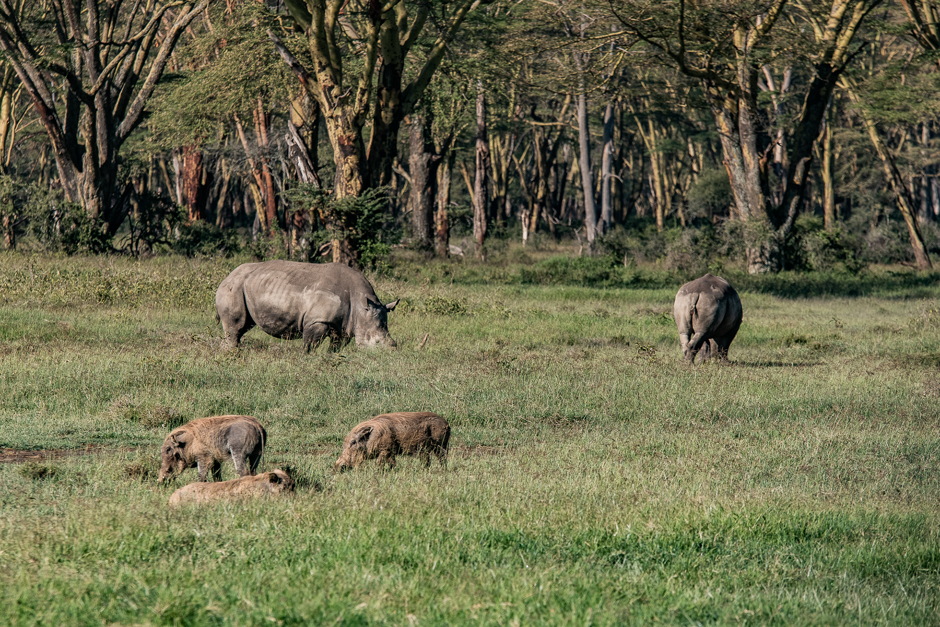 Kenya