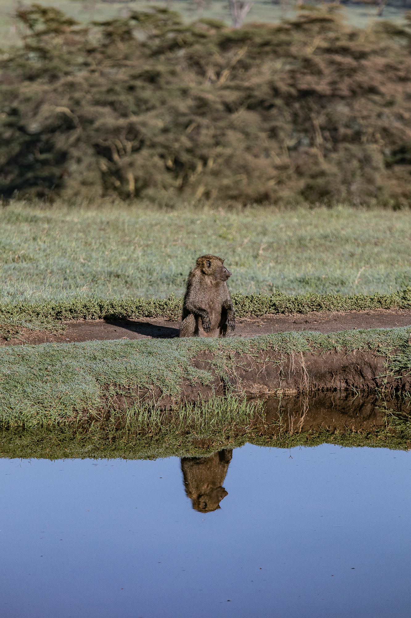 Kenya