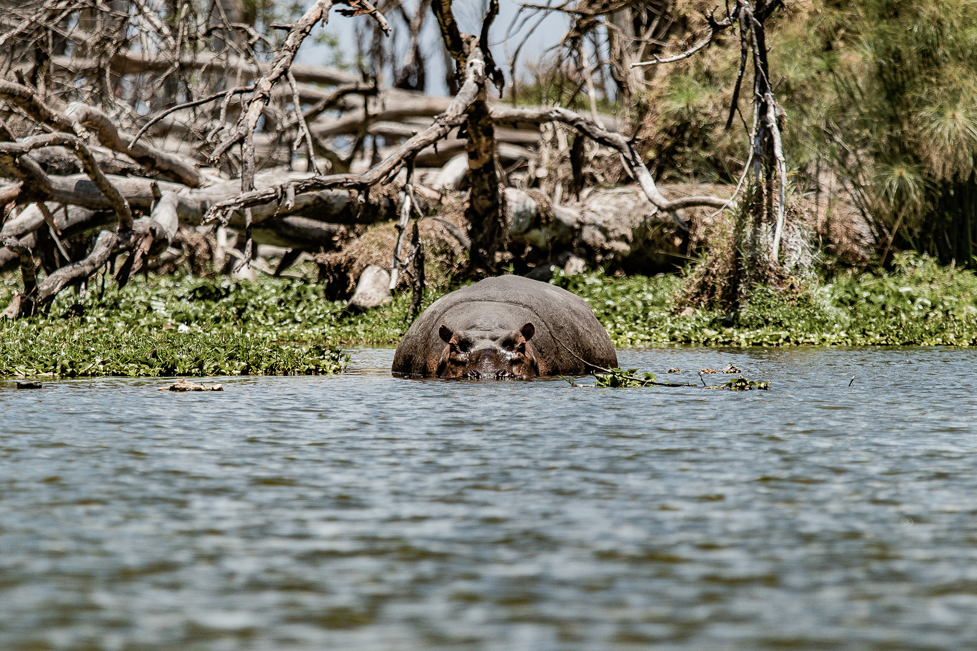Kenya