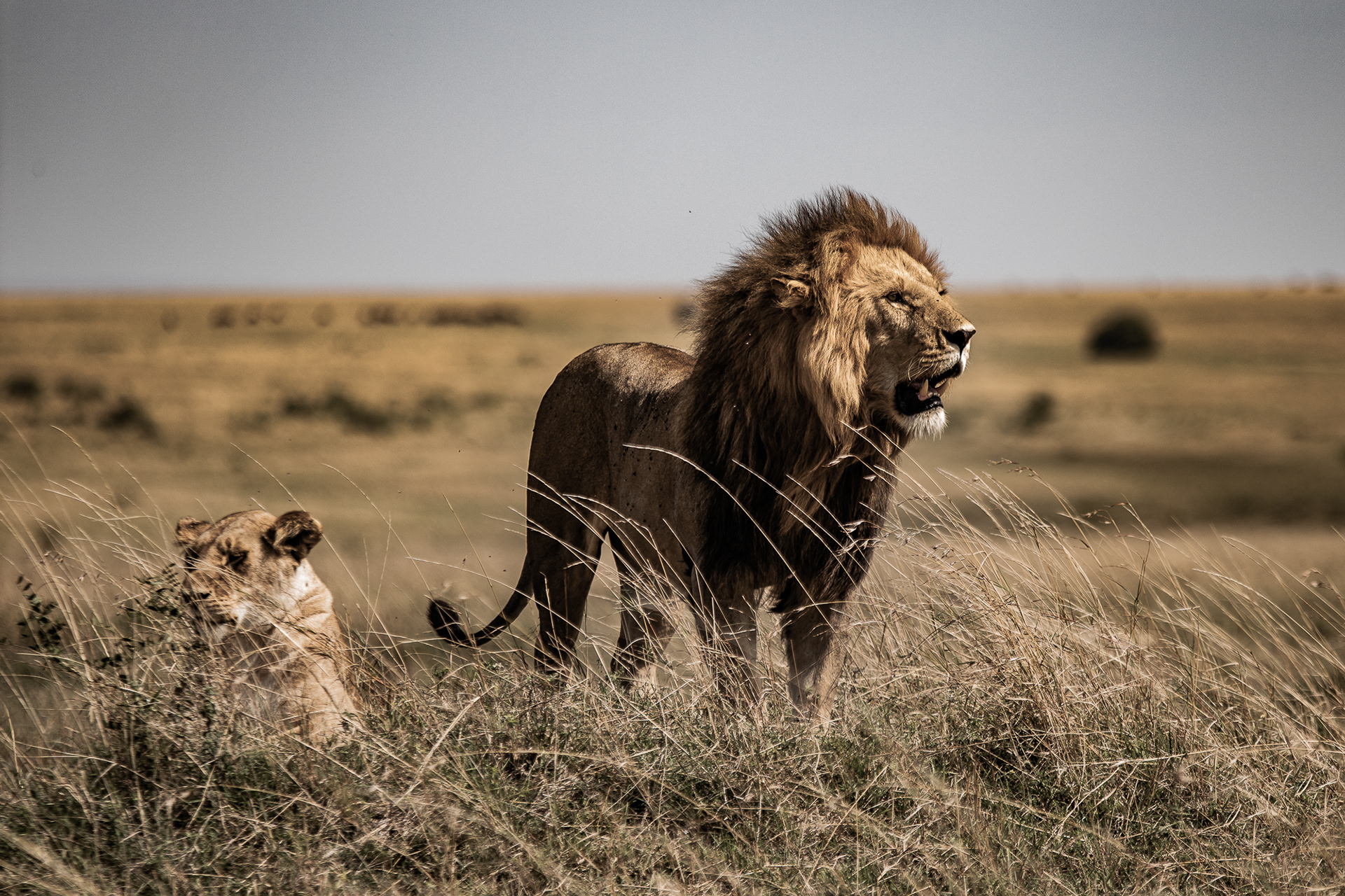 Kenya