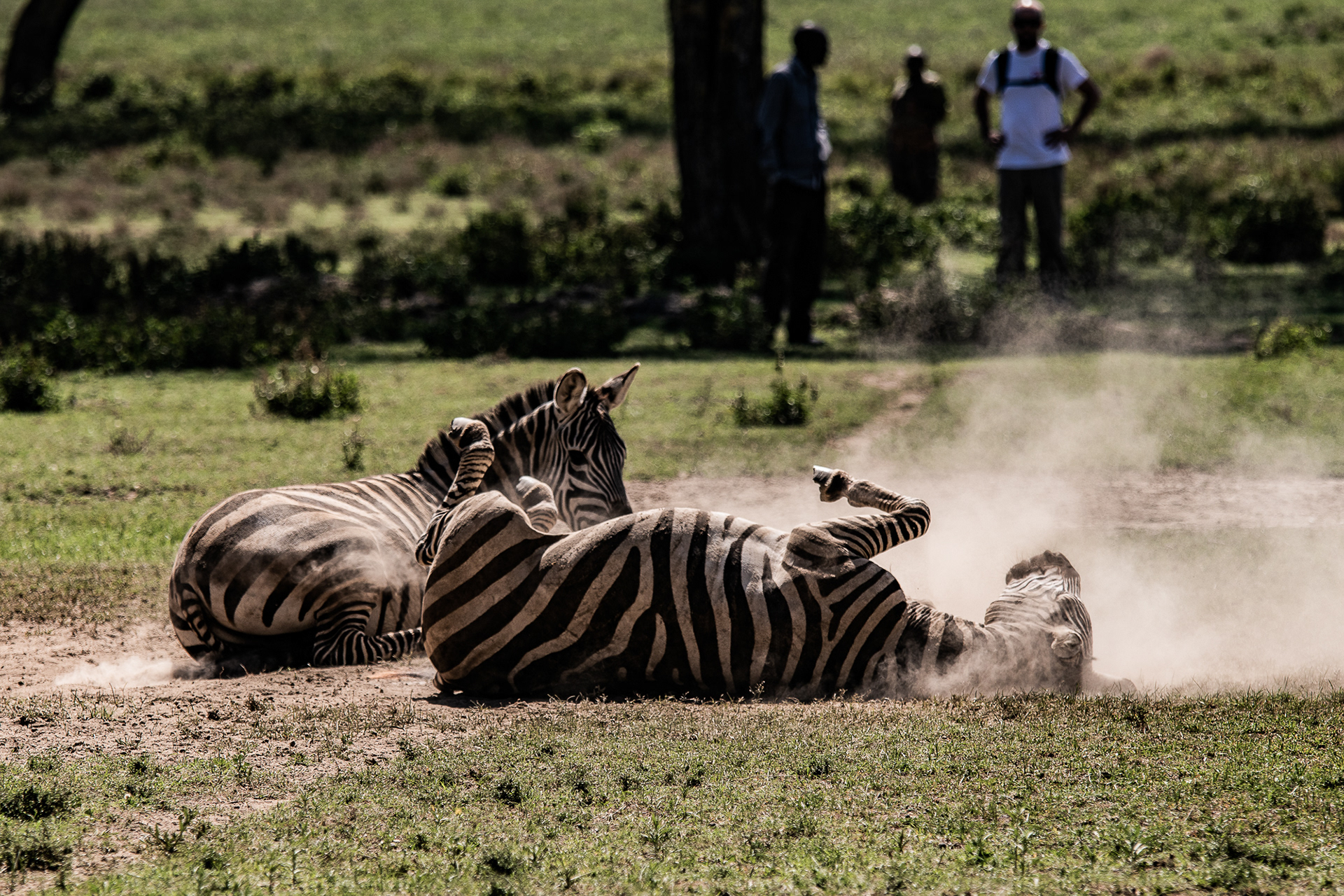 Kenya