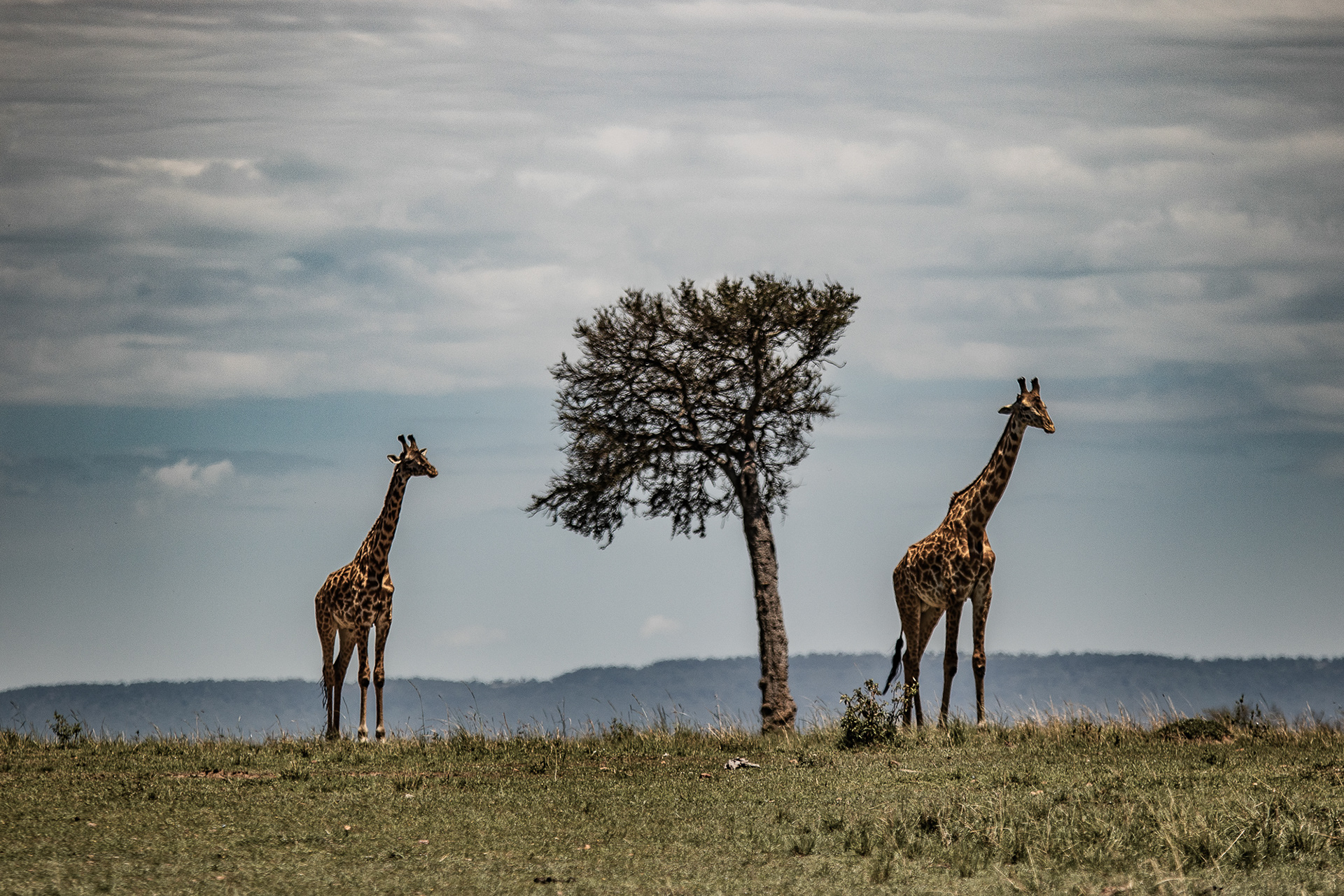 Kenya