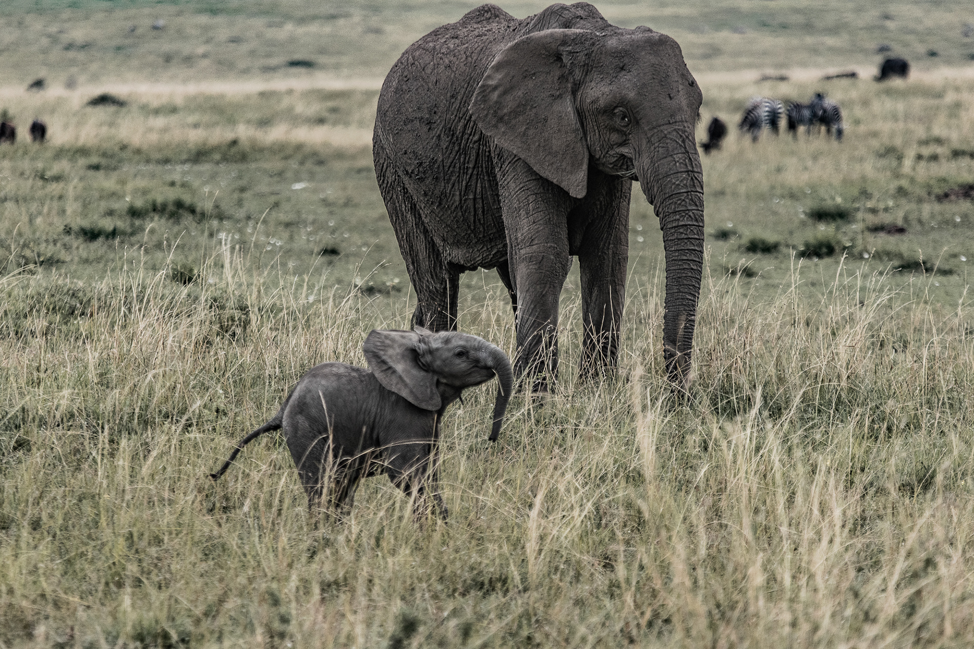 Kenya