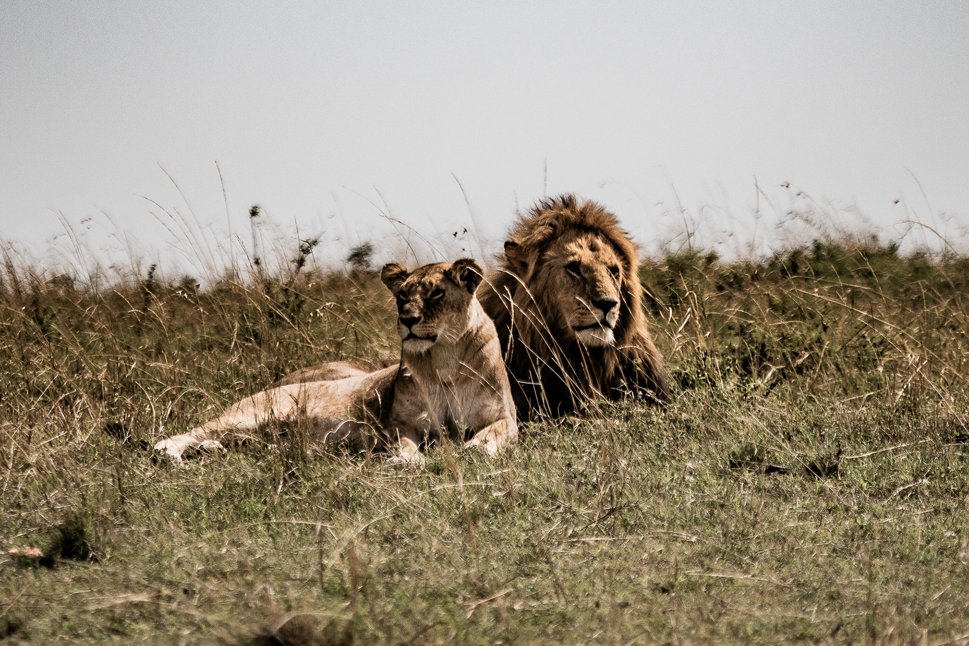 Kenya