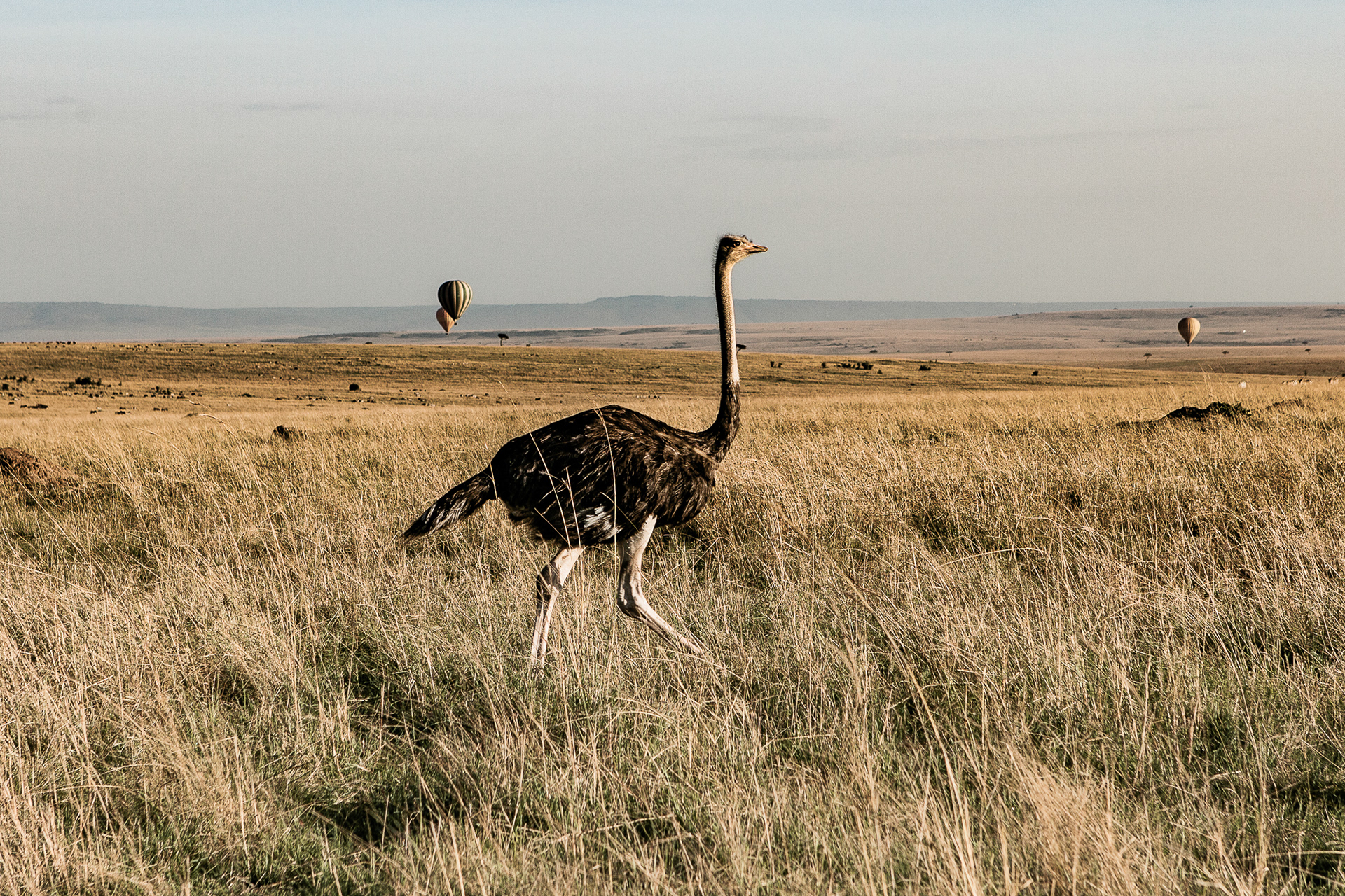 Kenya