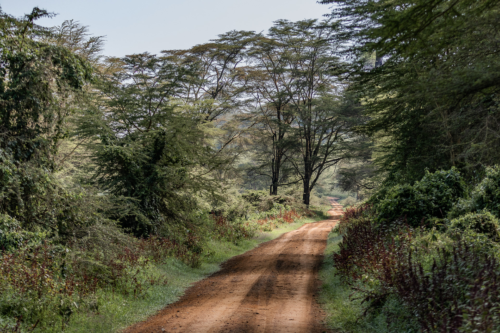 Kenya