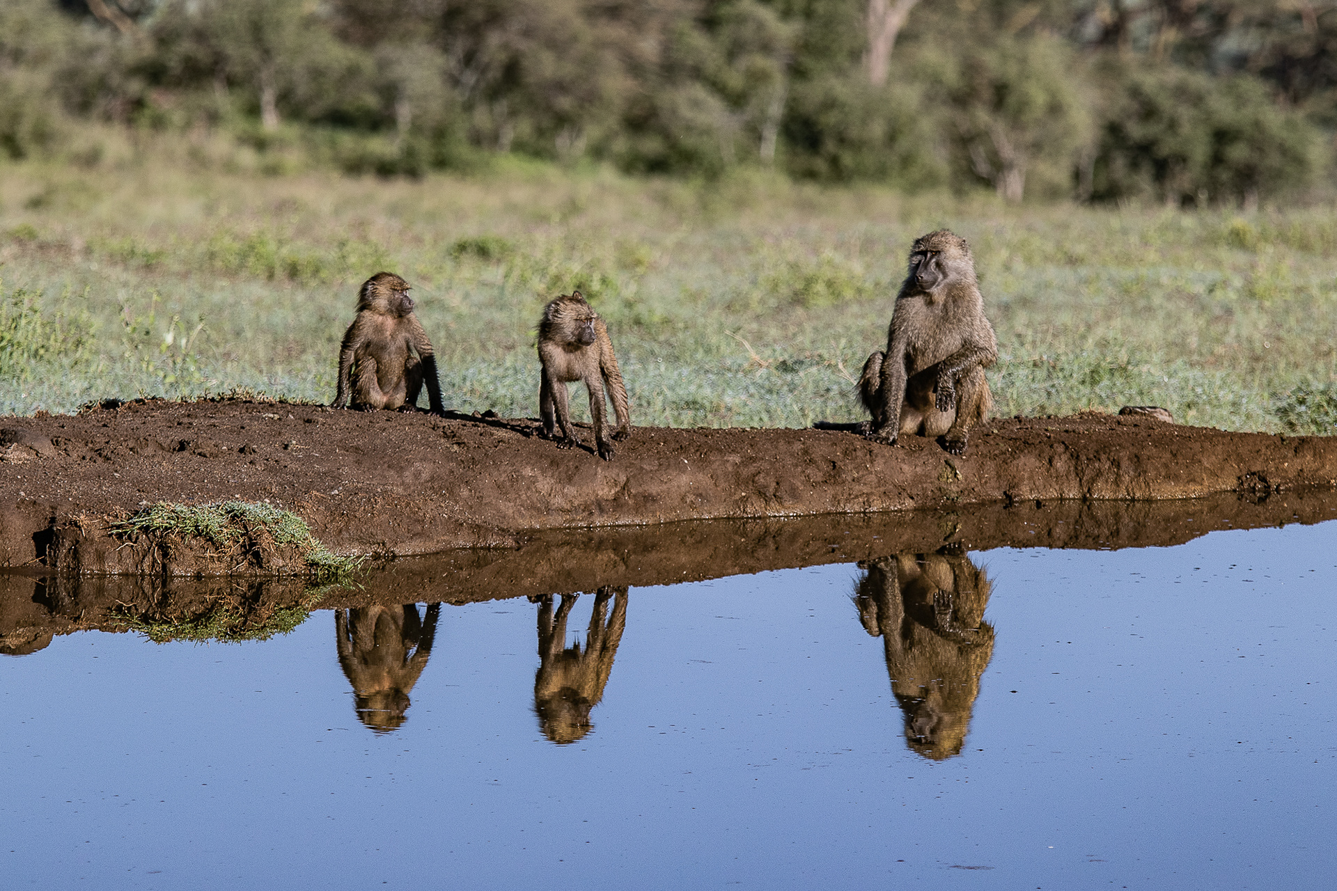 Kenya