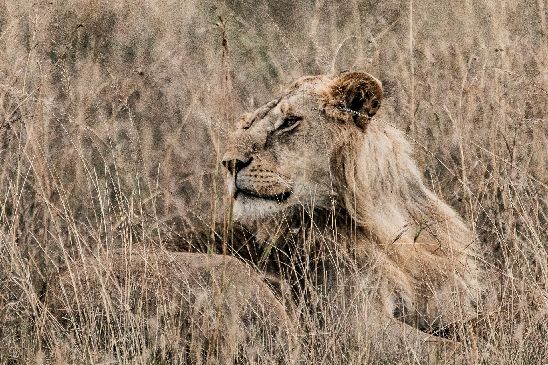 Kenya