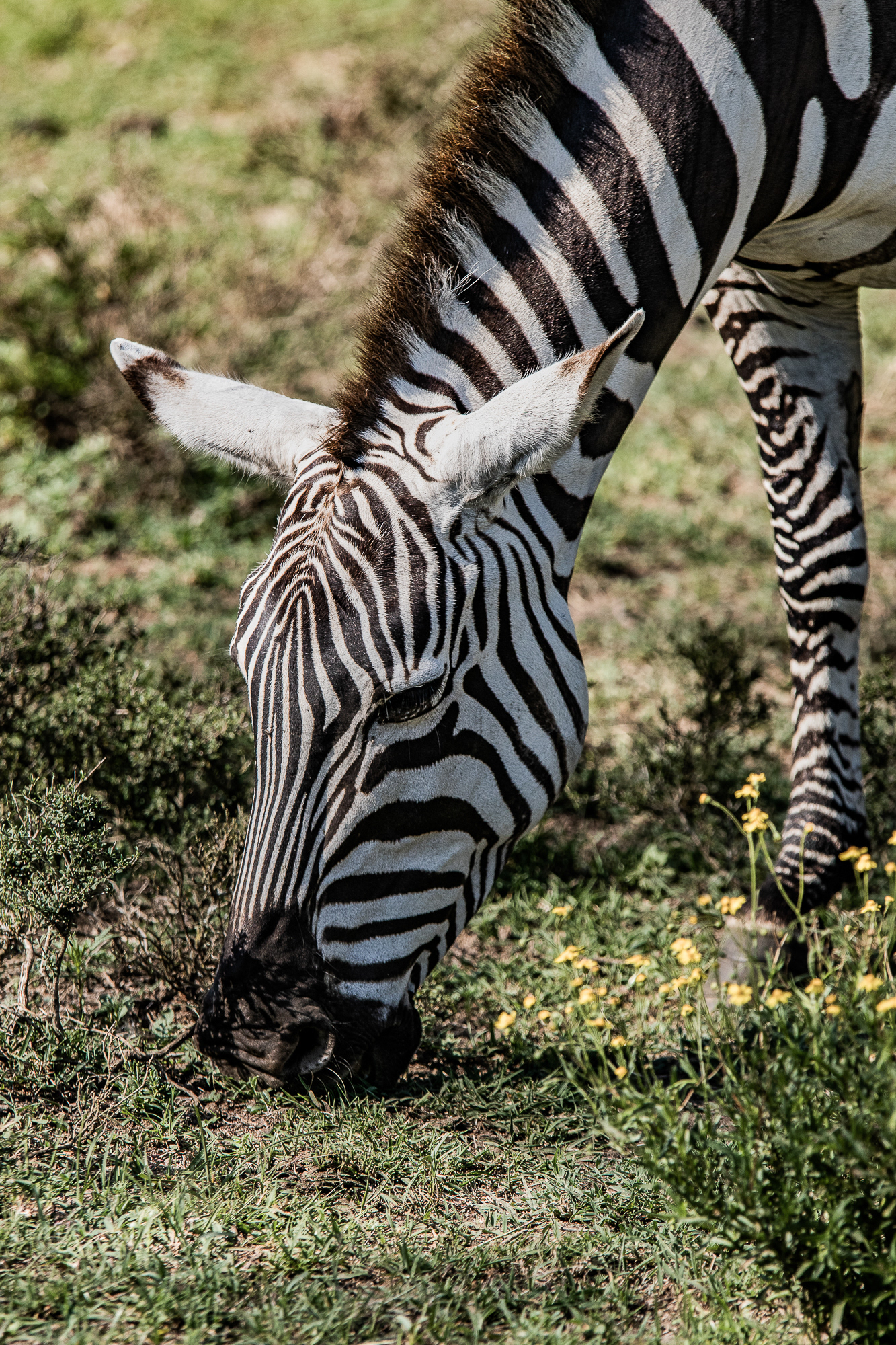 Kenya