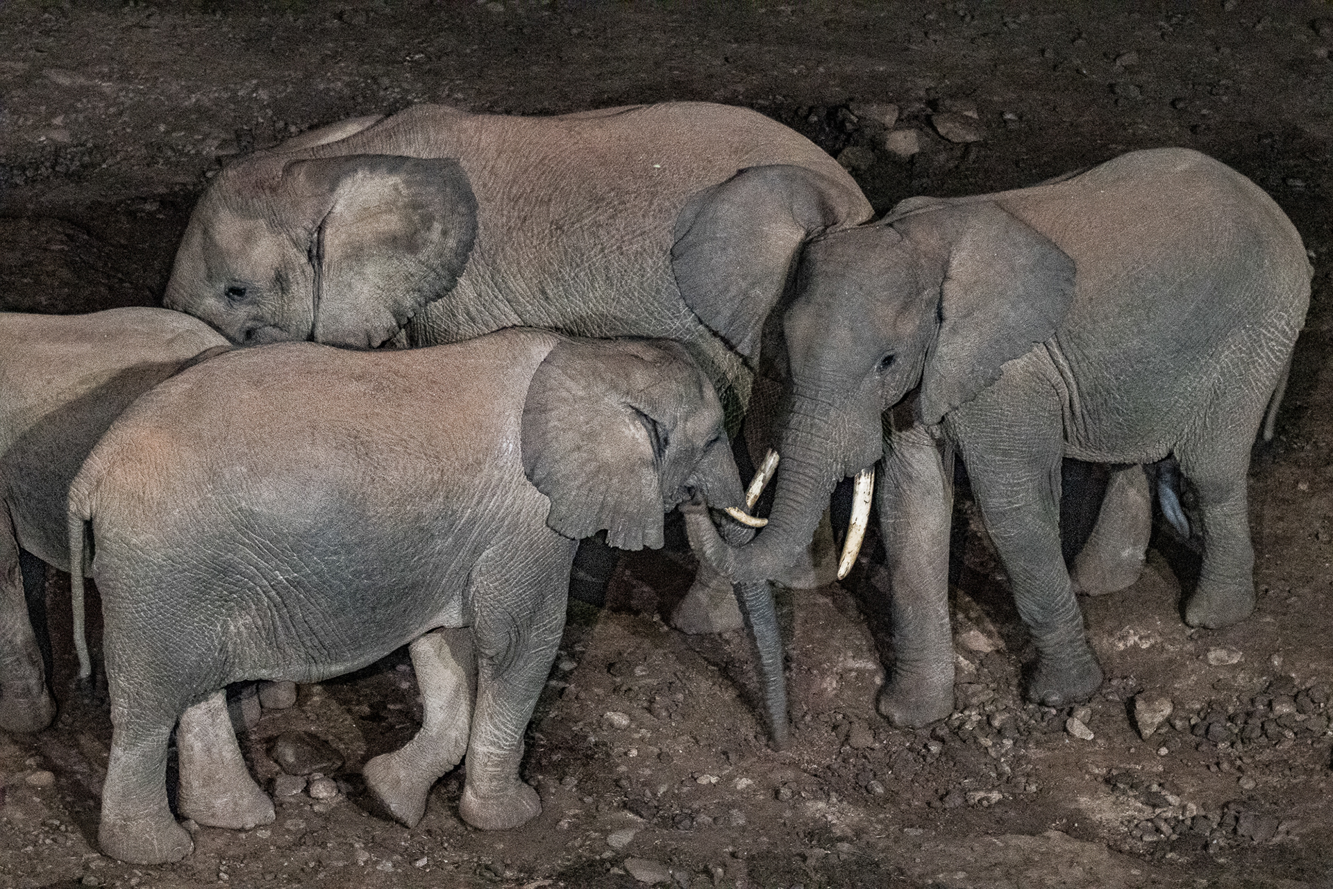 Kenya
