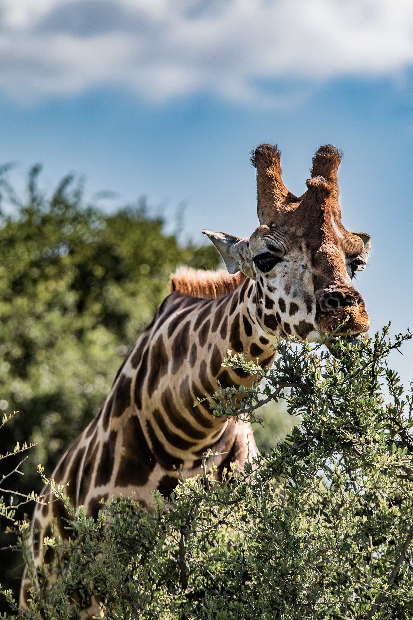 Kenya