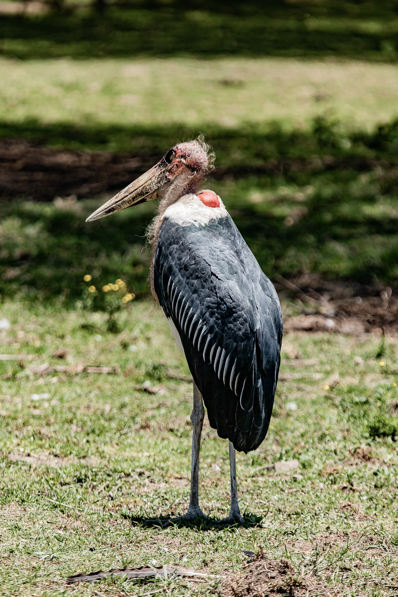 Kenya
