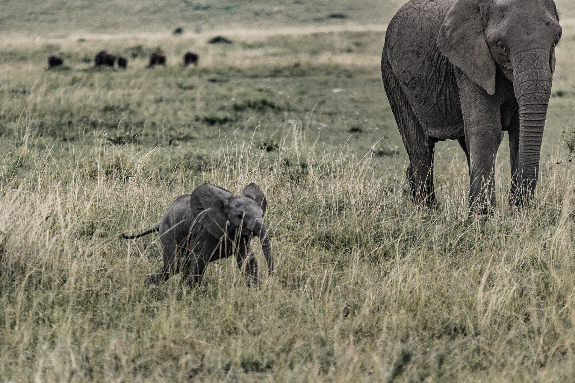 Kenya