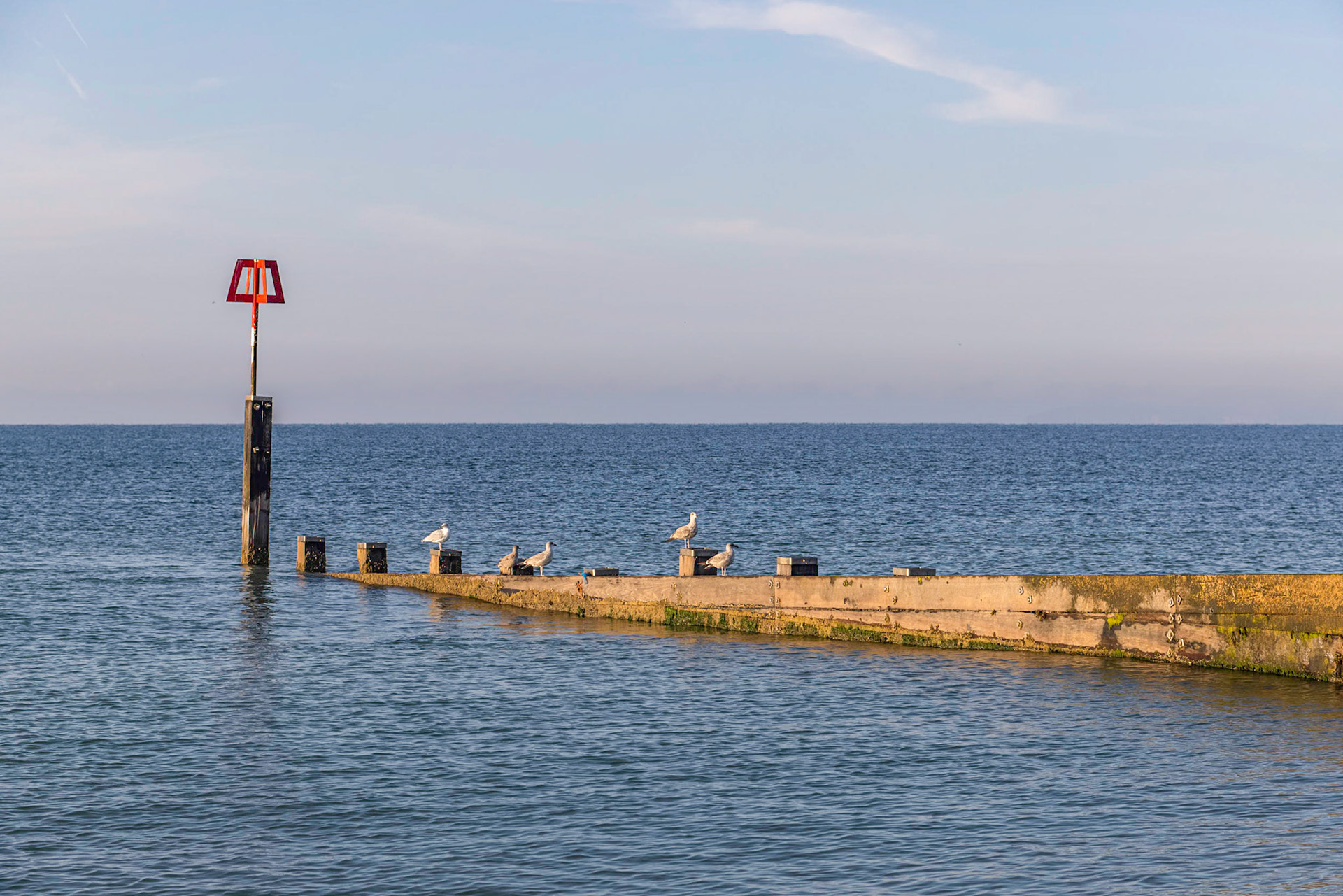 A scenic view of a wooden groyne with several seagulls along a majestic blue sea under a blue sky and some white clouds