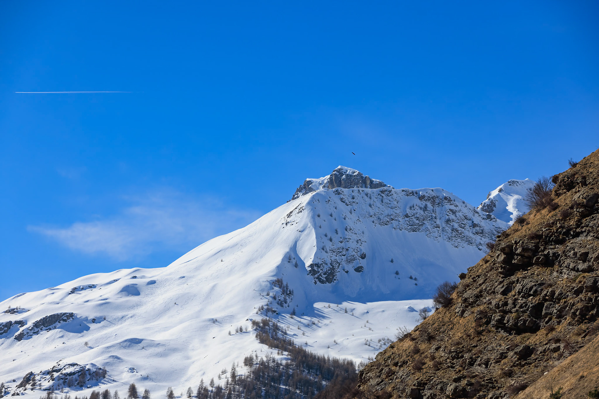 Quand tu photographies non pas un mais deux Aigles par hasard ;-)