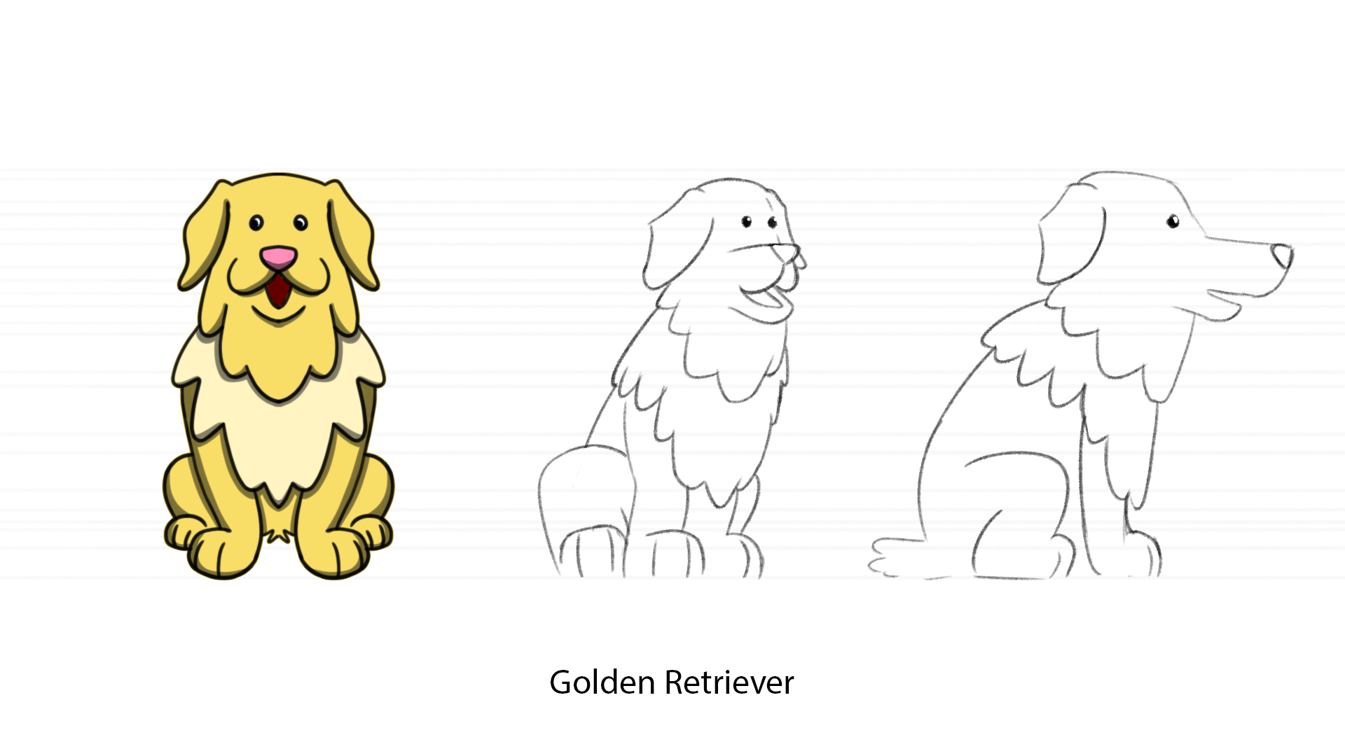 'Golden Retriever' Character Design