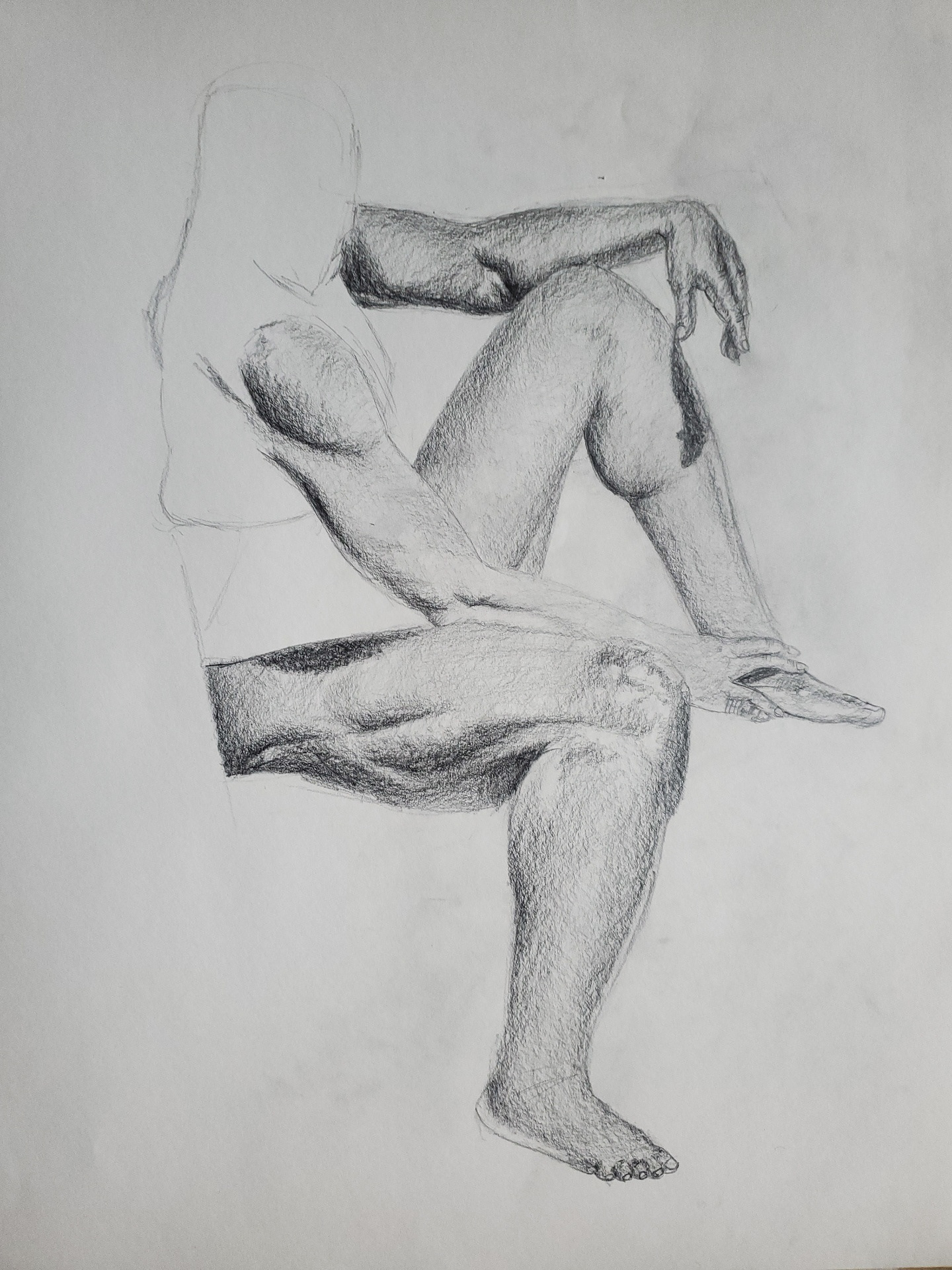 Limbs Assignment