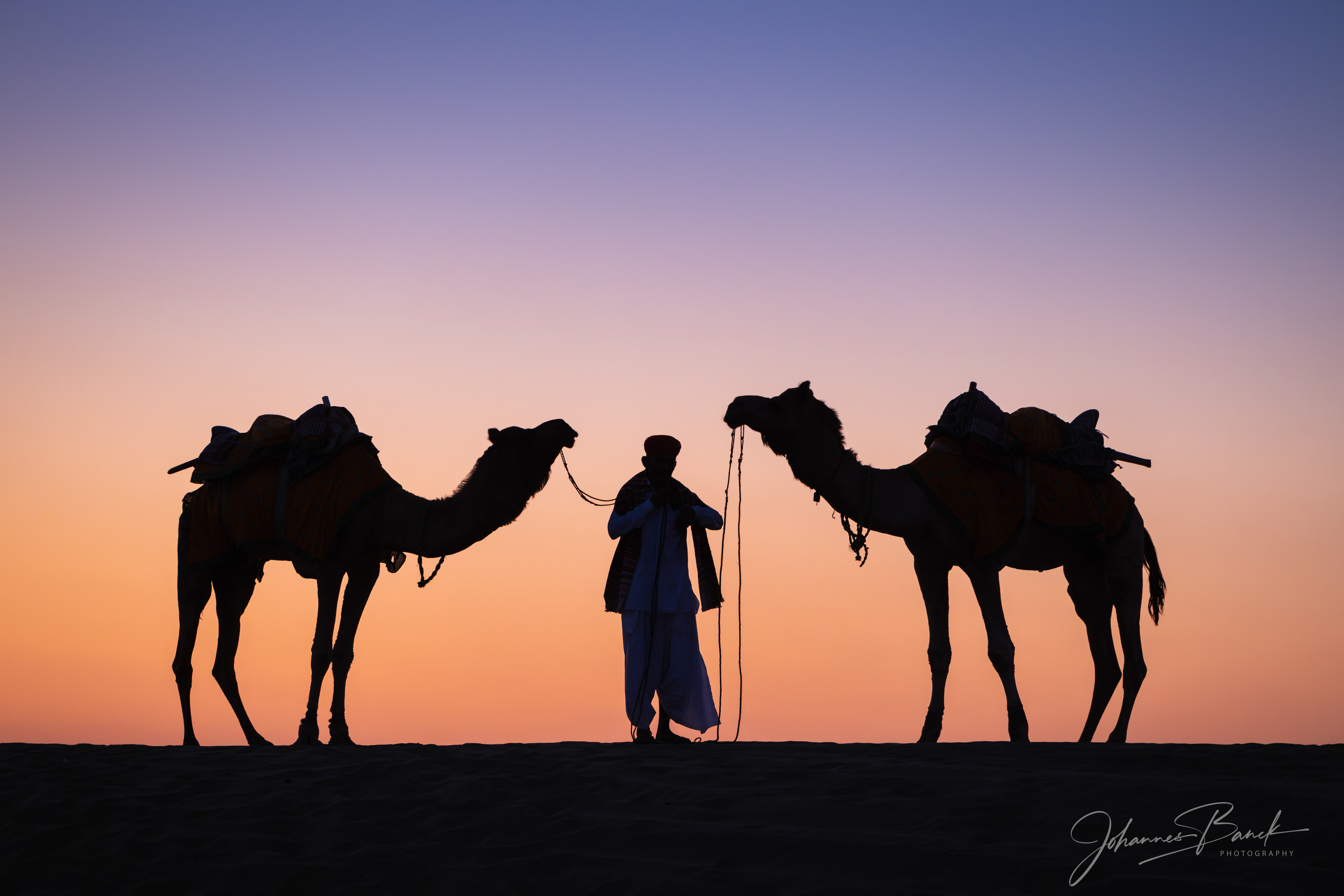 Thar Desert