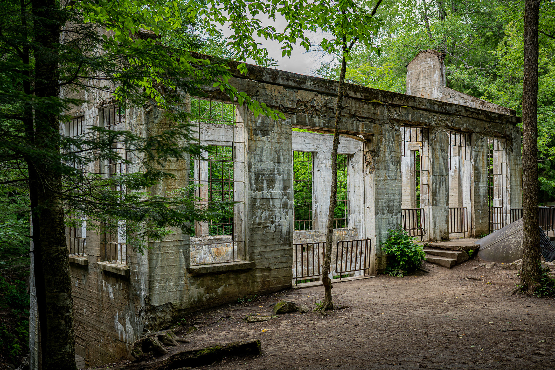RUINS IN THE WOODS