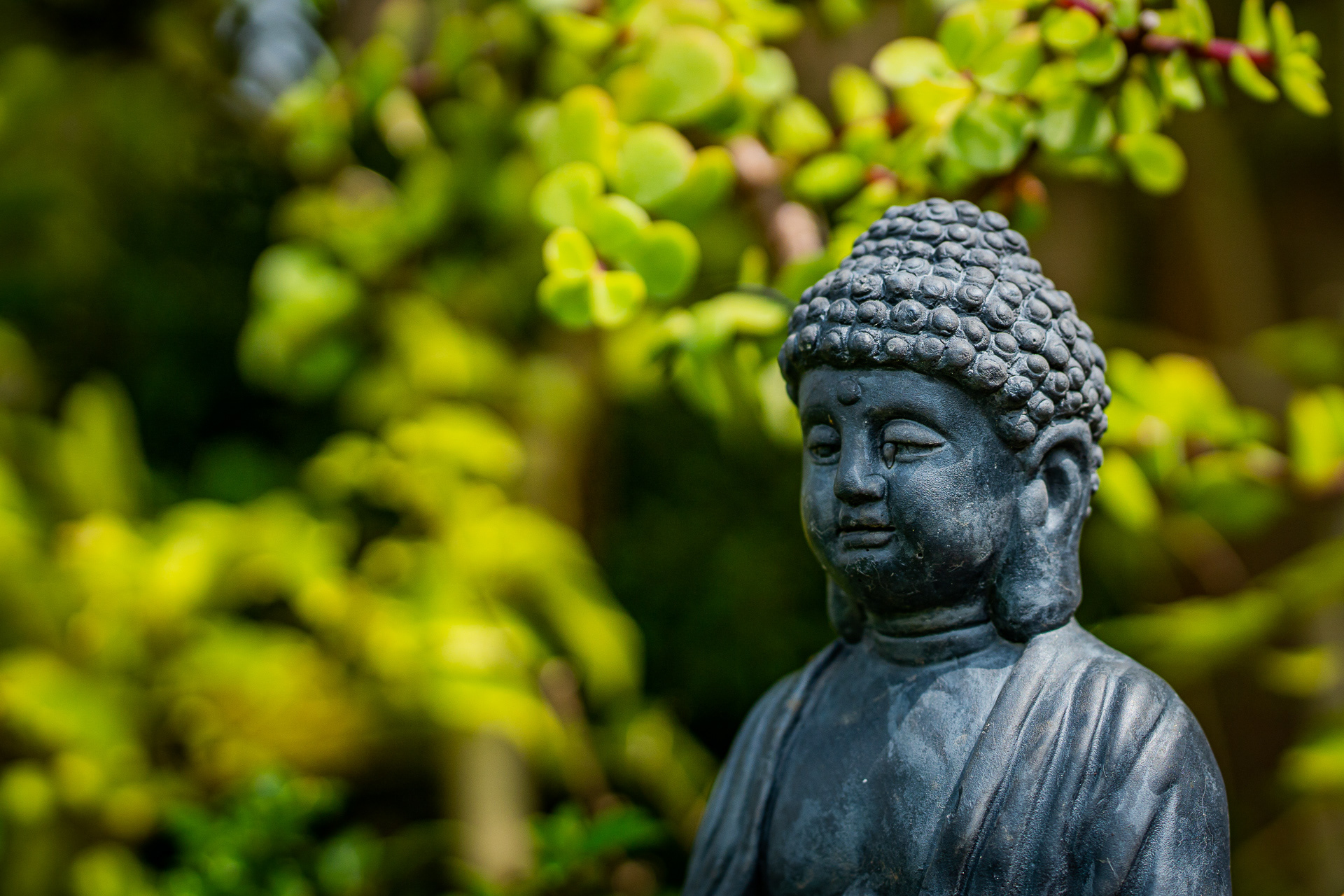 TEAR OF A BUDDHA