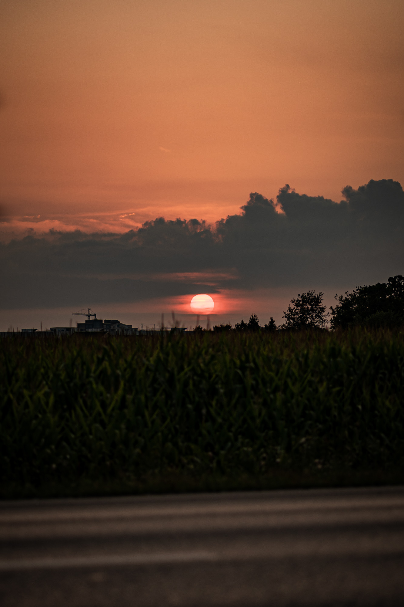SETTING SUN
