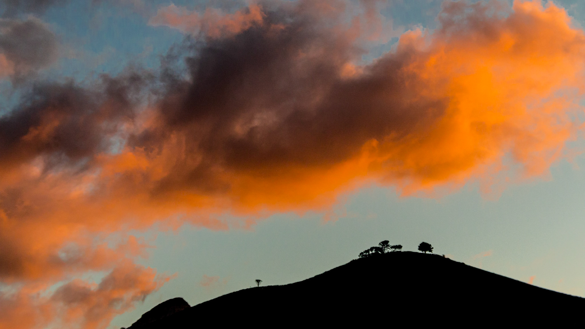 Signal Hill
