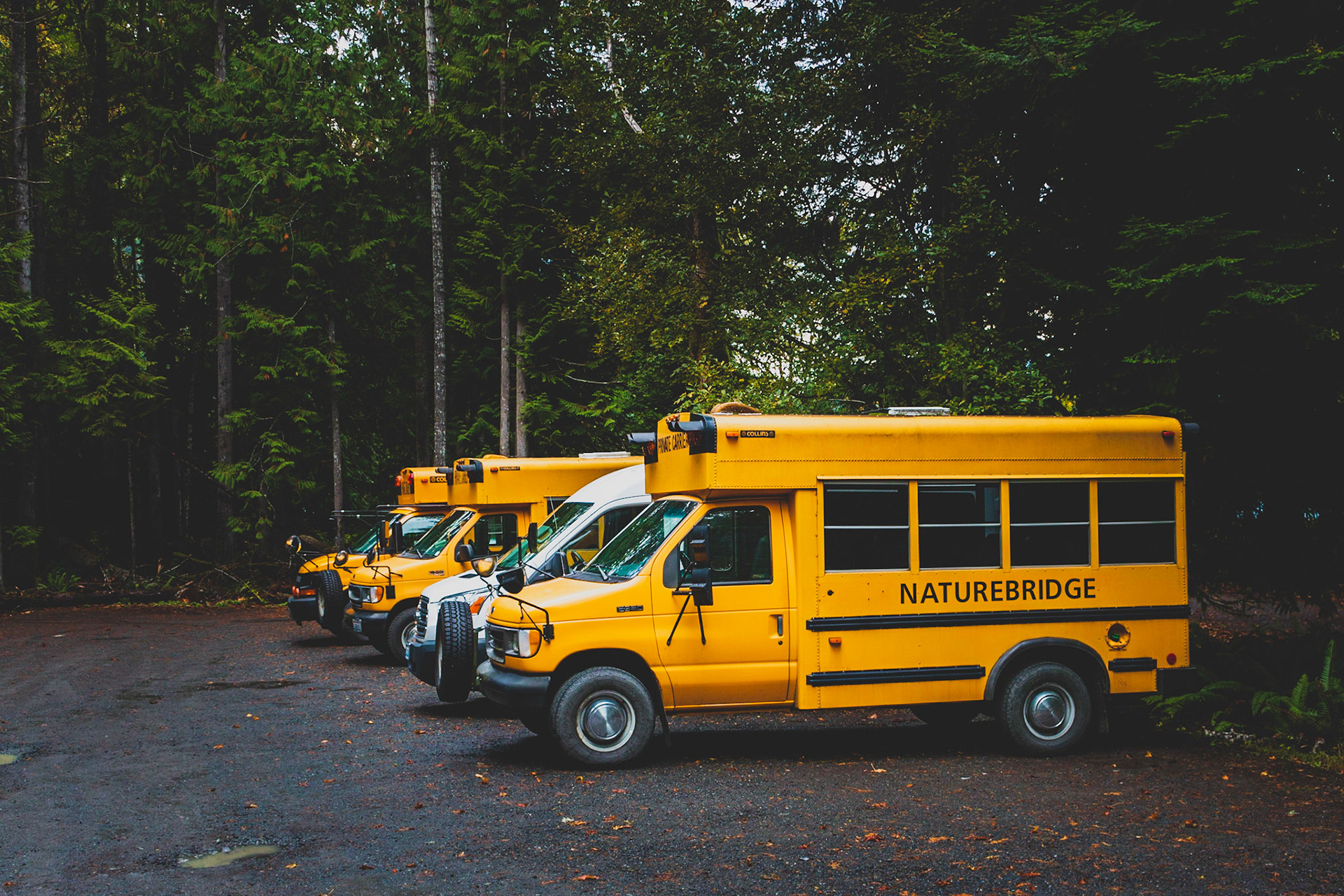 Schoolbusses