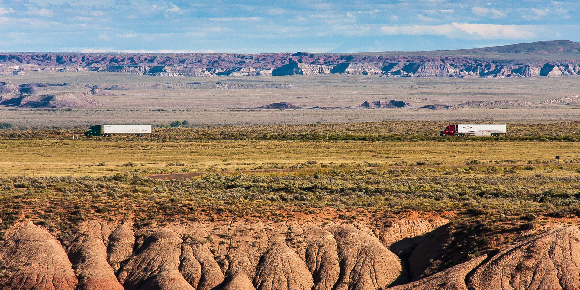 Petrified Forest, Arizona