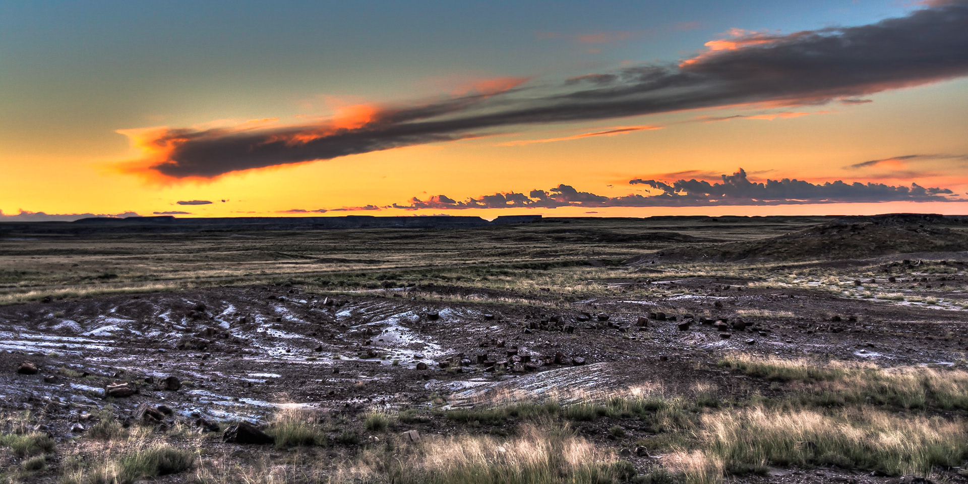 Petrified Forest, Arizona