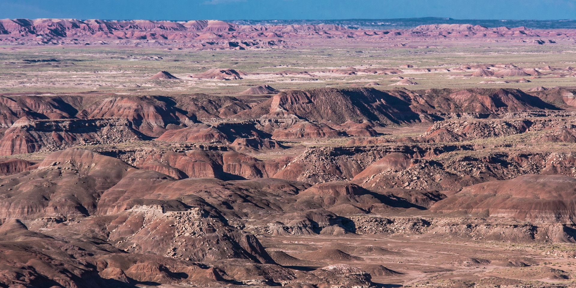 Petrified Forest, Arizona