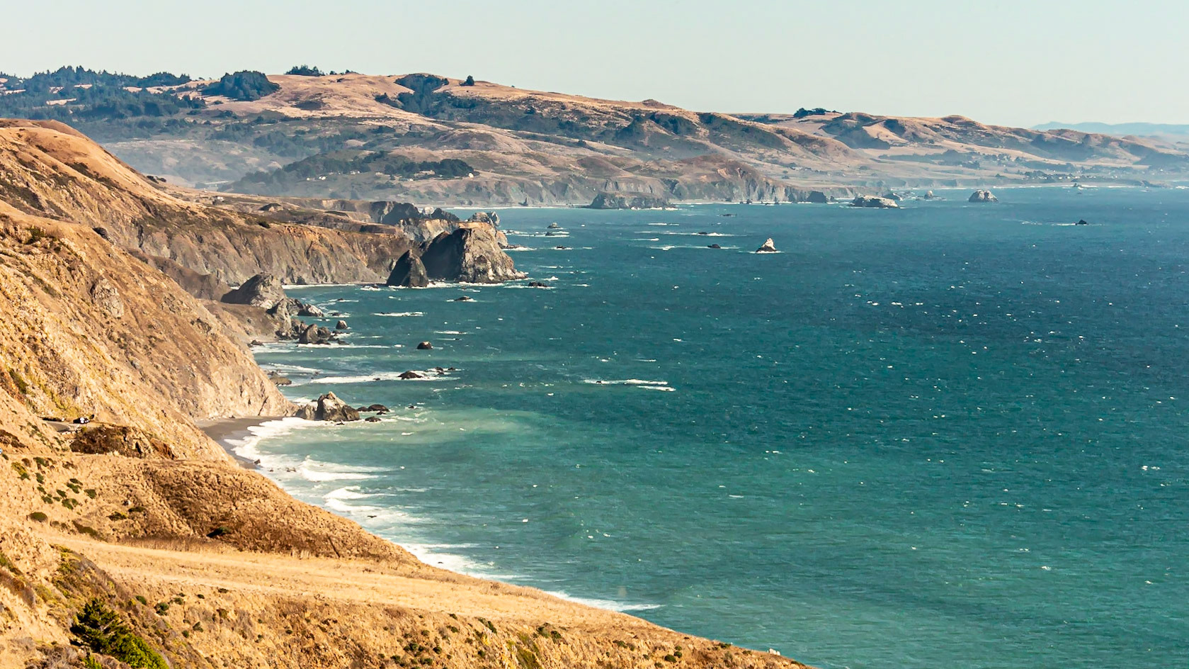 Pacific Coast
