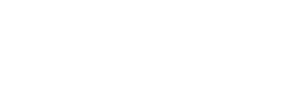 SYRIAN LENS