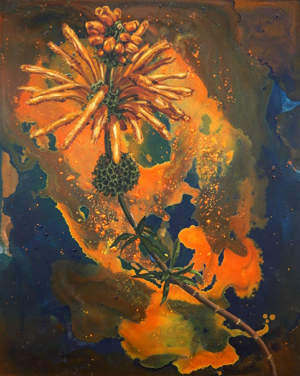 Flash, 30x24, 2017 (Lionitus)