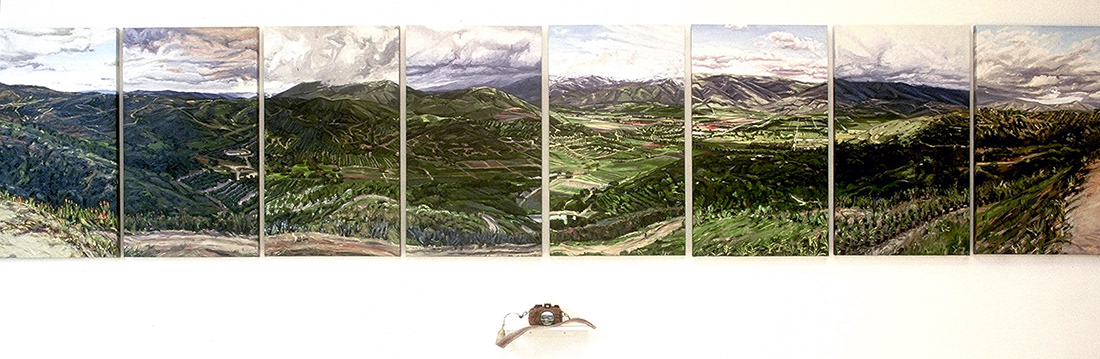 Panel, oil on canvas & camera, mud, snakeskin strap, 41in x 200in, 1998