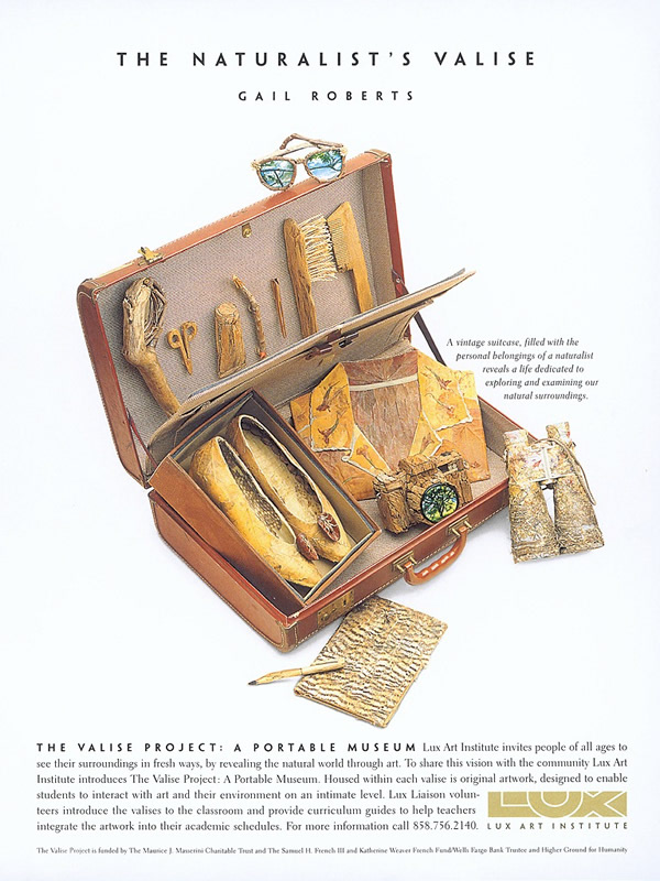 Naturalists Valise, mixed media, 23in x 12in x 10in
