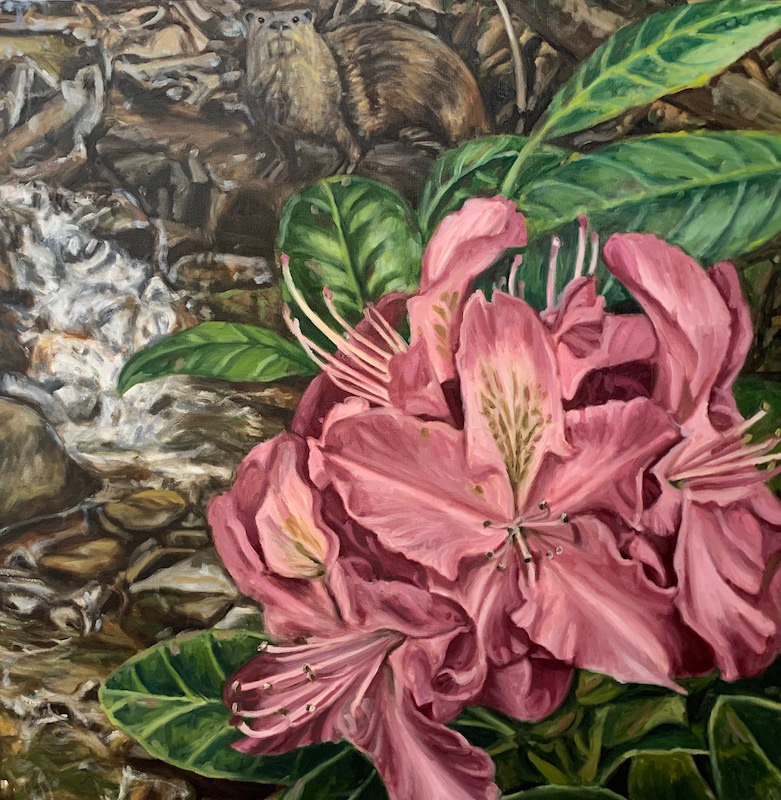 #14  Rhododendrons, River Otter