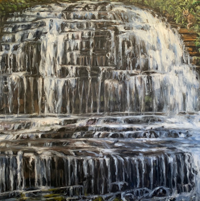 #8  Pearson’s Falls, Red Fox