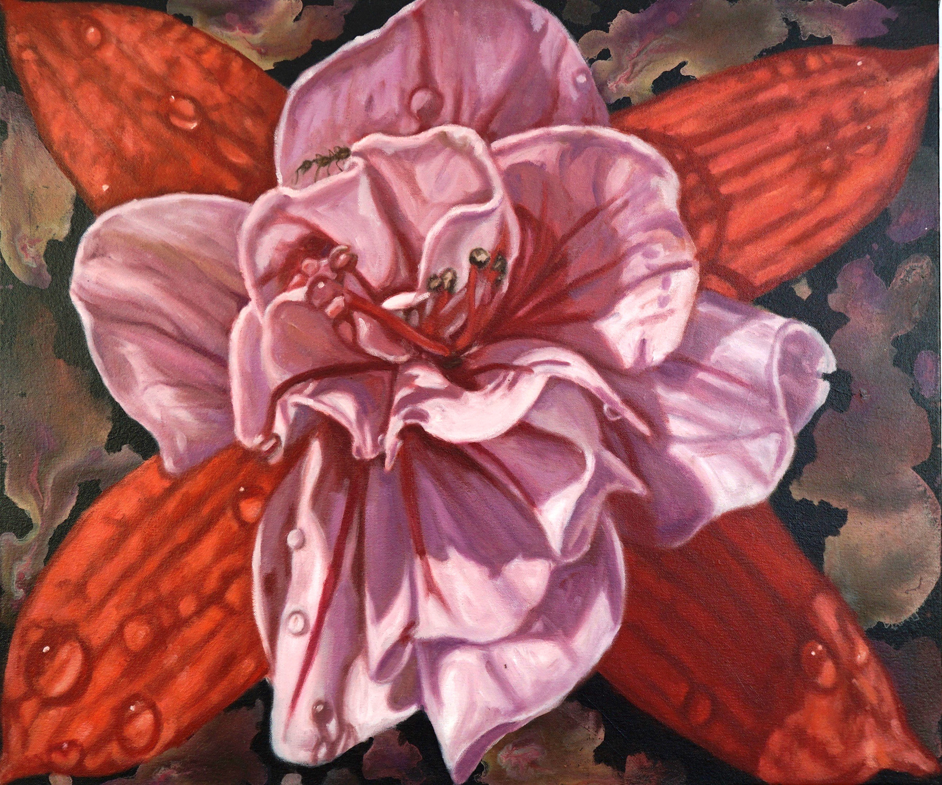Swingtime Trailing Fuchsia