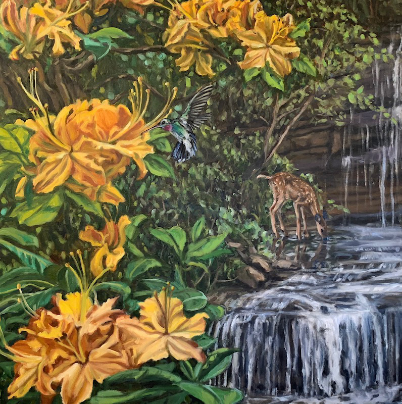 #7  Azaleas, White-tailed Fawn, Ruby-throated Hummingbird