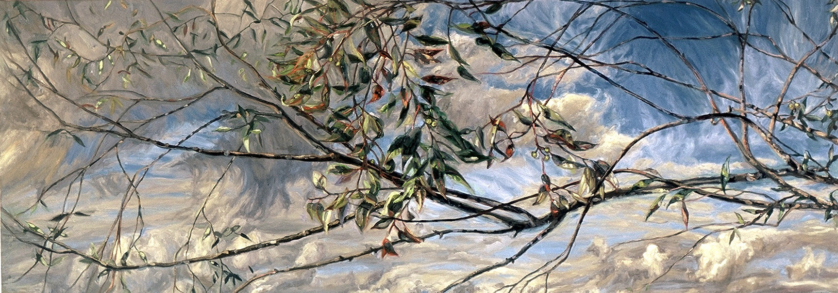 Billow, oil on canvas, 25in x 70in, 2001