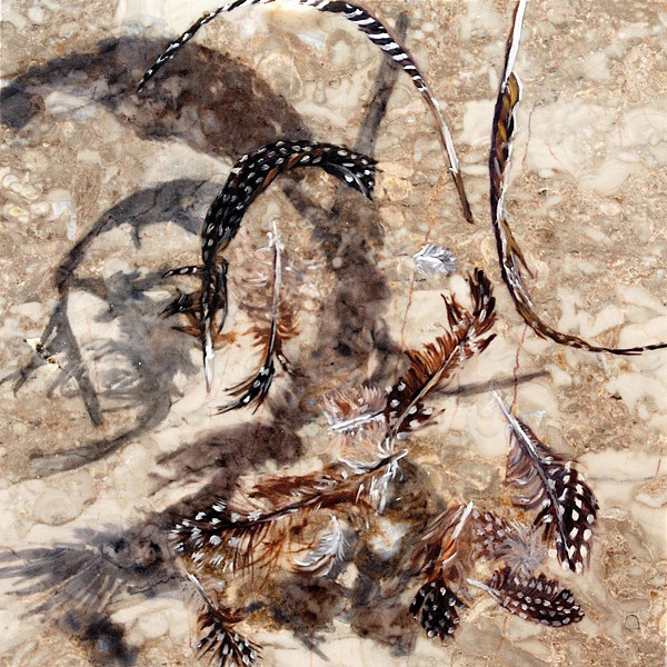 Thirteen Guinea Hen, oil on marble, 12"x12", 2013