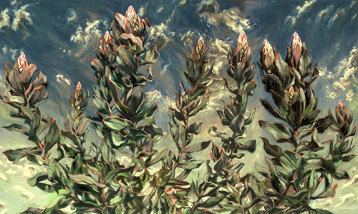 Peak, oil on canvas, 30in x 50in, 2002