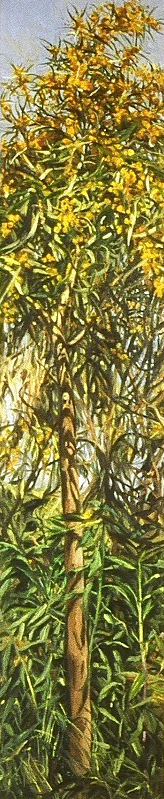 Swelter, oil on canvas, 68in x 14in, 1999