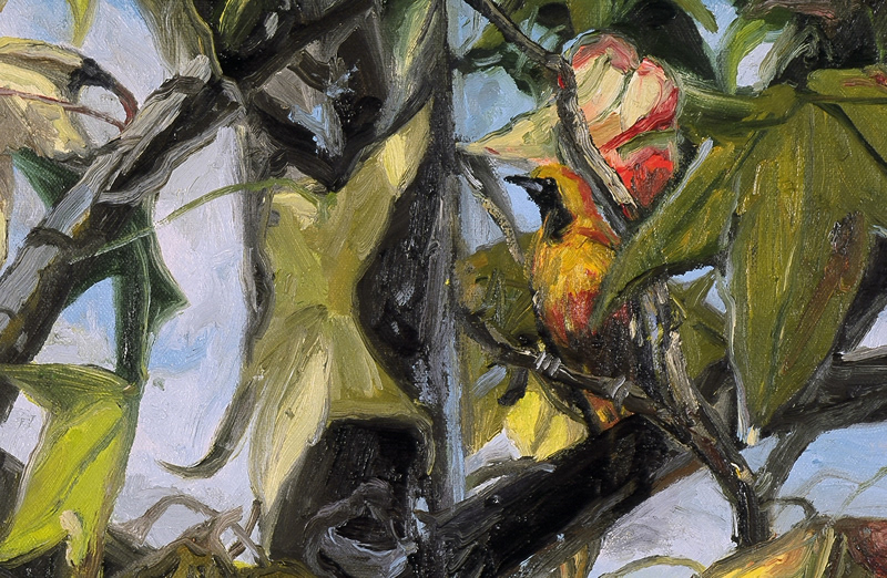 Tree Lines Detail: Sweet Gum Oriole