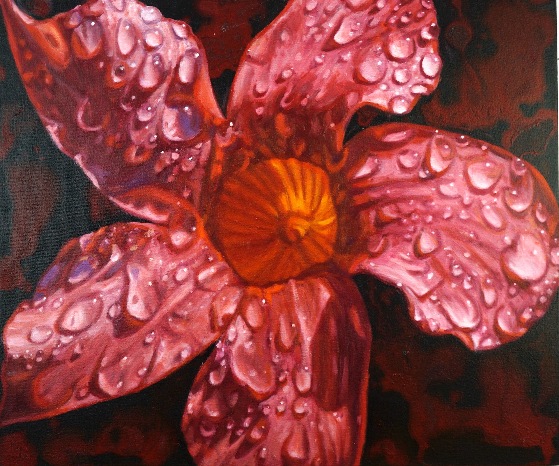 Bella Scarlet Mandevilla