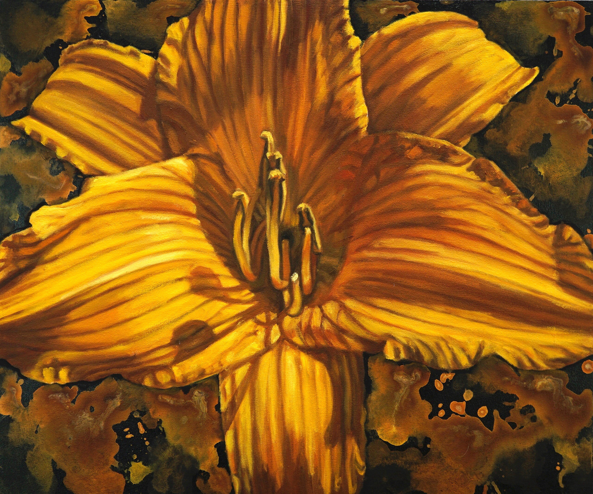 Day Lily